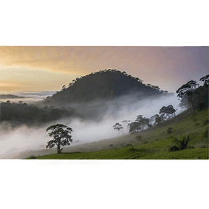 Early Morning Mist PNG 05242024 PNG image with transparent background