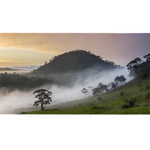 Early Morning Mist Png 05242024 PNG Image