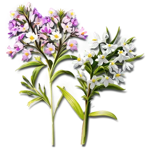 Early Spring Wildflowers Png Ckp PNG Image