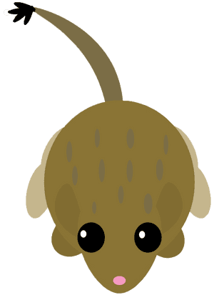 Ears Clipart Kangaroo - Mope Io Kangaroo Rat, HD Png Download PNG image with transparent background