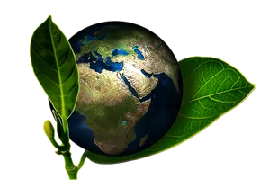 Earth Sprouting Leaf PNG Image