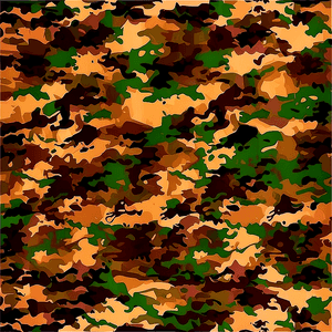 Earth Toned Camouflage PNG 06242024 PNG