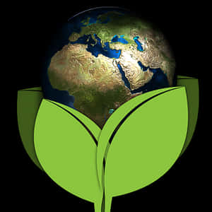 Earthin Green Leaves Concept PNG image with transparent background