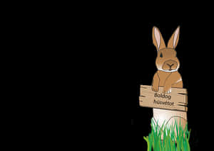 Easter Bunny Wishing Happiness PNG image with transparent background