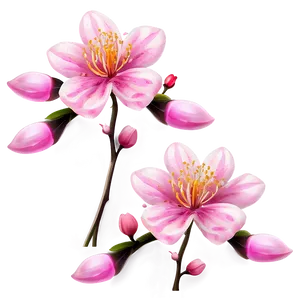 Easy Blossom Design Png Uys64 PNG Image