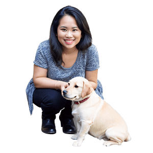 Easy Pet Care Tips PNG 9 PNG