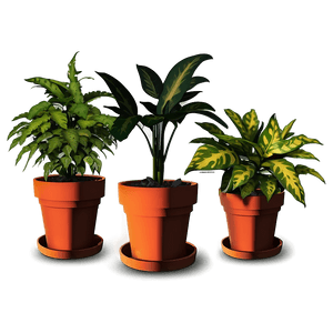 Easy Plant Care PNG guu PNG with transparent background