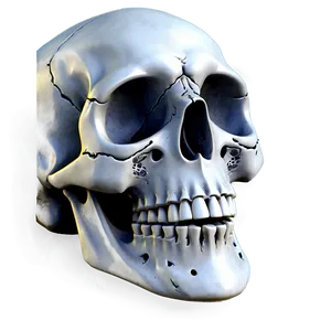 Easy Skull Sketch Png Yoi3 PNG Image