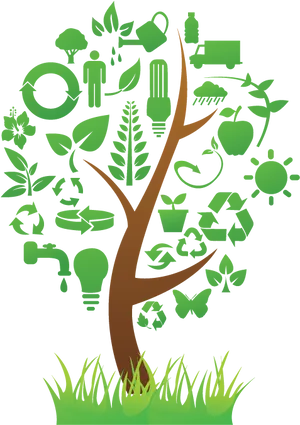 Eco Friendly Concept Tree PNG Image