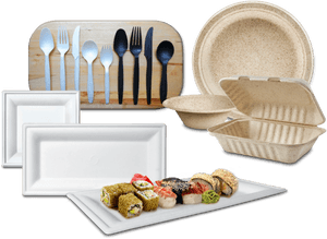 Eco Friendly Dinnerwareand Cutlery Set PNG