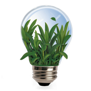 Eco-Friendly Lightbulb PNG 27 PNG