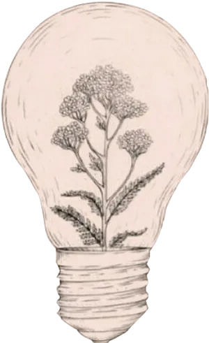 Eco Innovation Lightbulb Sketch PNG Image