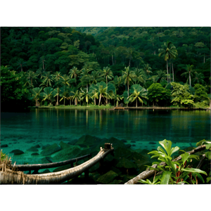 Ecotourism and Nature PNG txc35 PNG with transparent background