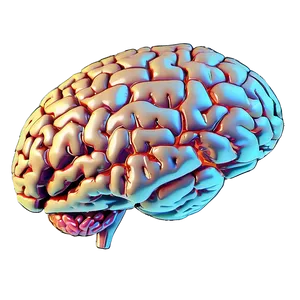 Educational Brain Outline Png 13 PNG Image