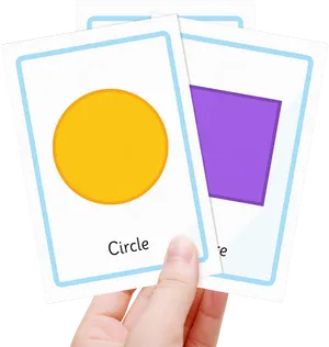 Educational Shape Cards Held PNG Image