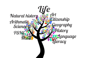 Educational Subjects Treeof Knowledge PNG Image