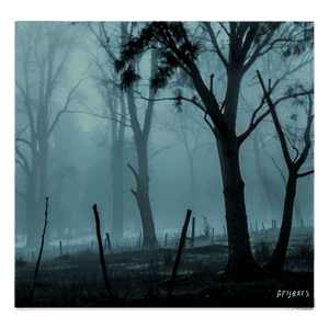 Eerie Fog PNG 78 PNG