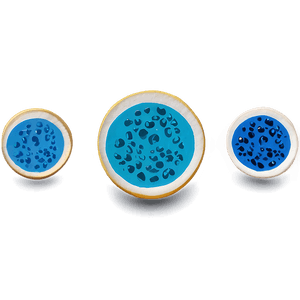 Egg Cells Visual PNG clj15 PNG with transparent background
