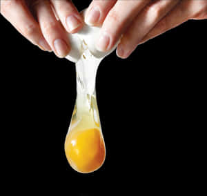 Egg Png - Egg Yolk Transparent Background, Png Download PNG