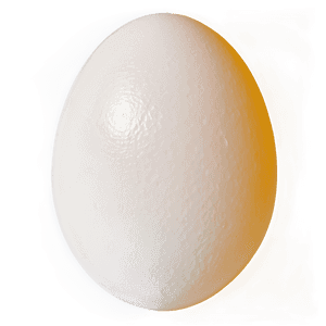 Egg Sunny Side Up PNG 05242024 PNG image with transparent background