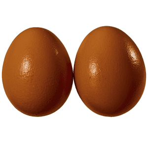 Egg Sunny Side Up PNG 05242024 PNG image with transparent background