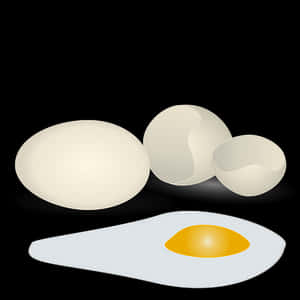 Eggs_ Variety_ Illustration PNG with transparent background
