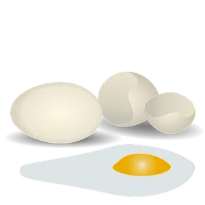 Eggs_ Variety_ Illustration PNG Image