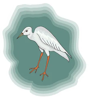 Egret Illustration Sticker Design PNG Image