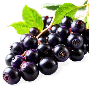 Elderberry Antioxidant Png Kqj PNG Image