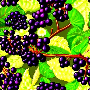 Elderberry Pattern Png Jvk PNG Image