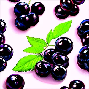 Elderberry Supplement Png 06252024 PNG Image