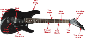 Anatomy Of The Guitar - Electric Guitar Parts Names, HD Png Download PNG with transparent background