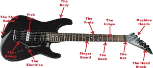 Electric Guitar Parts Identification PNG Image