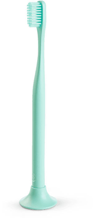 Bogobrush, HD Png Download PNG with transparent background