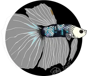 Elegant Betta Fish Illustration PNG Image