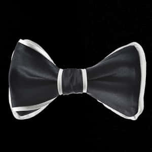 Black Bow Tie With White Border, HD Png Download PNG