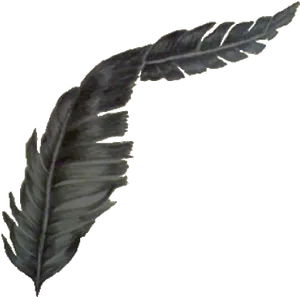 Elegant Black Feather Art.png PNG Image