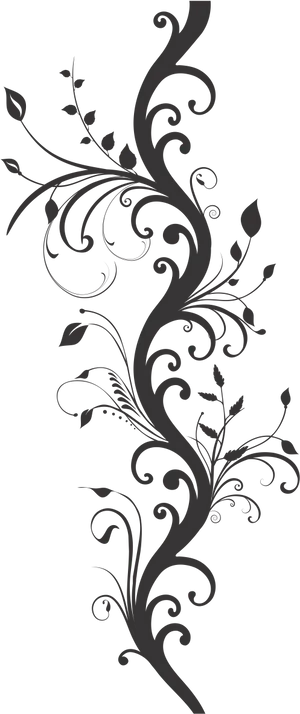 Elegant Black Floral Design PNG Image