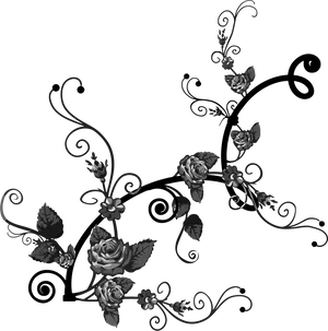 Elegant Black Floral Flourish Design PNG Image