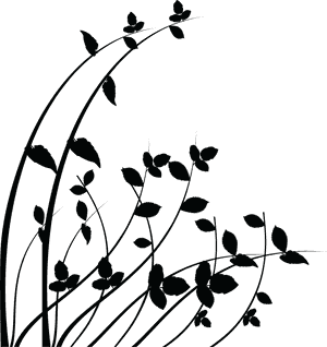 Wall Art Png - Wall Stickers Png Transparent, Png Download PNG with transparent background