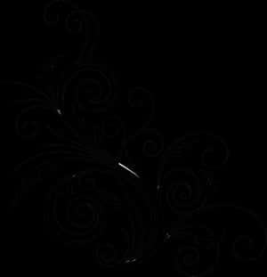 Swirl Png Download Image - Floral Swirls Design Png, Transparent Png PNG image with transparent background
