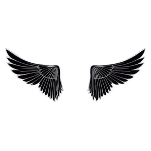 Elegant Black Wings Illustration PNG cgs PNG with transparent background