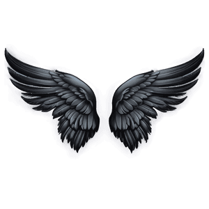 Elegant Black Wings Illustration PNG pfl58 PNG with transparent background