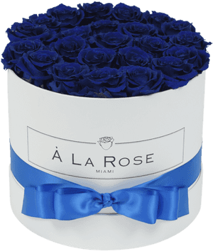 Royal Blue Roses In A Box'Class='lazyload Lazyload - Blue Rose, HD Png Download PNG with transparent background