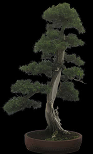 Elegant Bonsai Treein Pot PNG