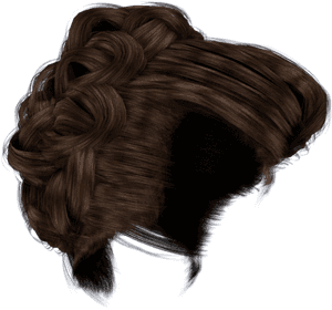 Hair Bun Png - Brown Hair Bun Png, Transparent Png PNG
