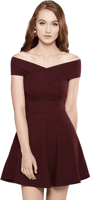 Dress Png Background - Veni Vidi Vici Dress, Transparent Png PNG
