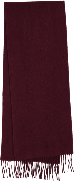 Elegant Burgundy Scarfwith Fringe PNG