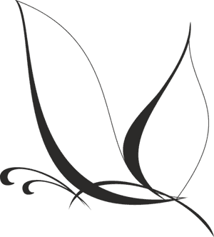 Transparent Butterfly Clip Art Black And White - Black And White Vector Butterflies, HD Png Download PNG image with transparent background