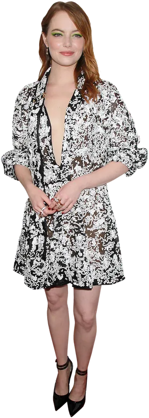 Elegant Celebrityin Blackand White Dress PNG Image